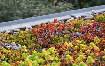the cost of Snedshill green roof installation